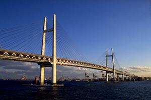 ふじみ野市で新築一戸建てを購入するなら